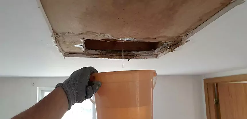 Ceiling Mold Repair Haralson